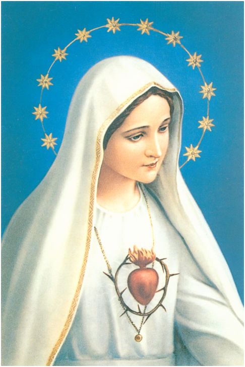 Auswahlmenue Maria Die Mutter Der Kirche